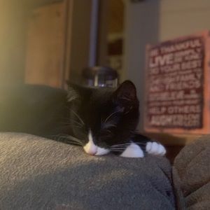 Meet your Posher, Rae